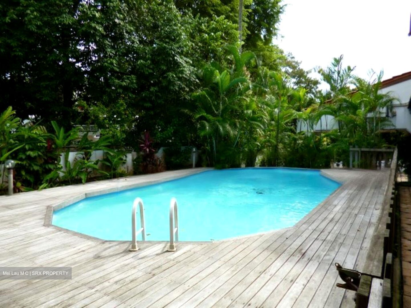 Bukit Timah Road (D21), Detached #486077171